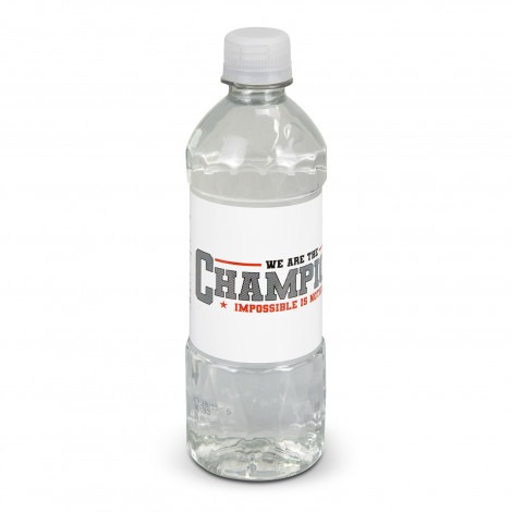 Promotional Water Bottle