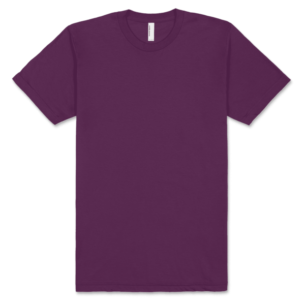 American Apparel Unisex Fine Jersey Short Sleeve T Eggplant